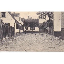 Drag&oslash;r- Tulipangade - C.S. 17926