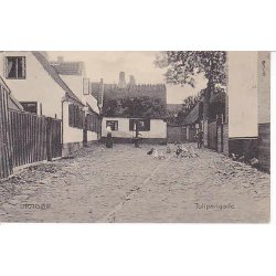 Drag&oslash;r- Tulipangade - S.M. 17926