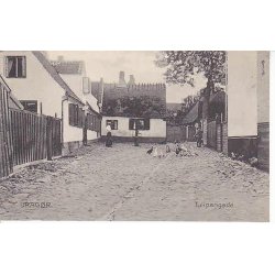 Drag&oslash;r- Tulipangade - S.M. 17926