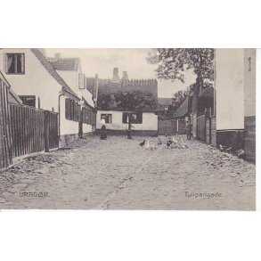 Drag&oslash;r- Tulipangade - S.M. 17926