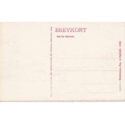 Drag&oslash;r- Tulipangade - S.M. 17926