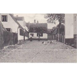 Drag&oslash;r- Tulipangade - S.M. 17926