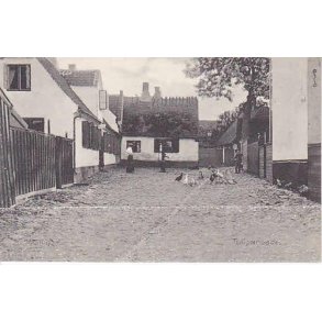 Drag&oslash;r- Tulipangade - S.M. 17926