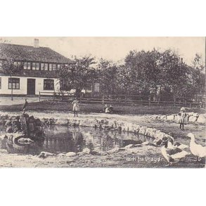 Parti fra Drag&oslash;r -St.12723