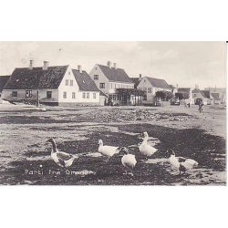 Parti fra Drag&oslash;r -St.12719