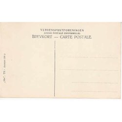 Parti fra Kongelunden - IDA