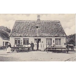 Parti fra Kongelunden - IDA