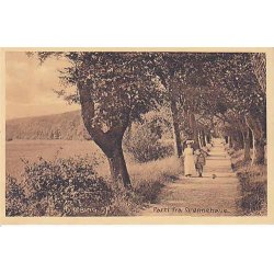 Nyk�bing Sj. Parti fra Gr�nnehave -P.H. 54