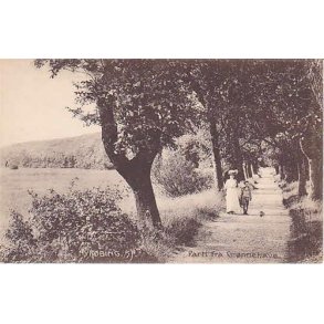 Nyk�bing Sj. Parti fra Gr�nnehave -P.H. 192