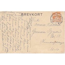 Fuglepersspektic fra St.Taarnby - P.T.