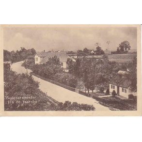 Fuglepersspektic fra St.Taarnby - P.T.