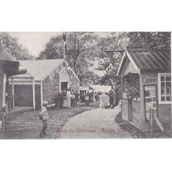 Hilsen fra Udstillingen i Horsens 1905.