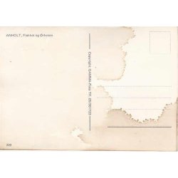 Anholt, Flakket og �rkenen - G. 223