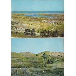 Anholt, Flakket og �rkenen - G. 223