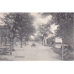 Hovedgaard - P.A. 4853