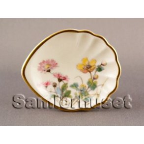 Danmarks Flora Askeb&aelig;ger Musling 9&frac12;x7&frac12; cm.