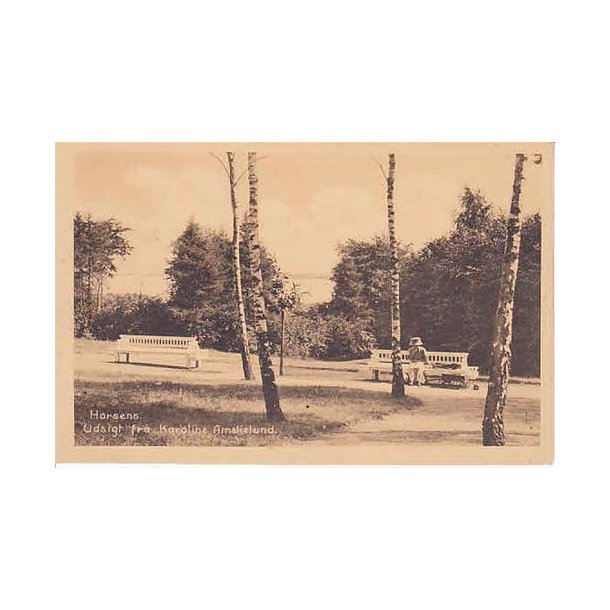 Horsens - Udsigt fra Karoline-Amalielund.St.28446