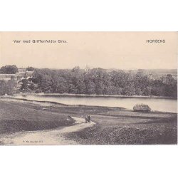 Horsens - V&aelig;r med Griffenfeldts Grav. St.672