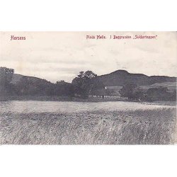 Horsens - Pinds M&oslash;lle - Baggrunden Sukkertoppen.