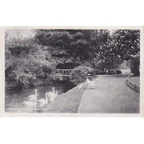 Horsens -  Fra Bygholm Park. St. 212