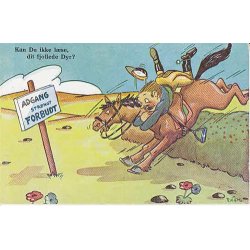 R.M&oslash;ller - Kan Du ikke l&aelig;se,dit fjollede Dyr. JKM.