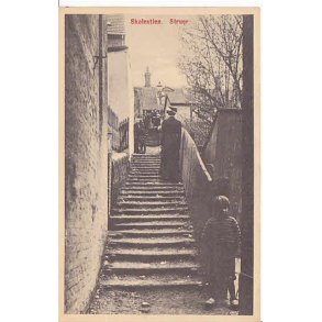 Struer- Skolestien - S.K. 21444