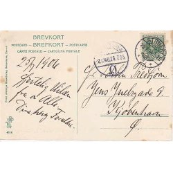 Svanedammen i Lystanl&aelig;get- Strue - P.A. 4614