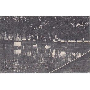 Svanedammen i Lystanl&aelig;get- Strue - P.A. 4614