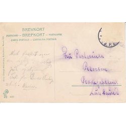 Struer - Anl&aelig;get - P.A. 1905