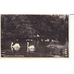 Svanedammen, Struer Anl&aelig;g - K.7