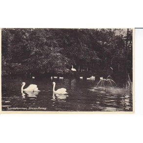 Svanedammen, Struer Anl&aelig;g - K.7