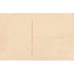 Paa Toftum Bjerge - S.K. 40262