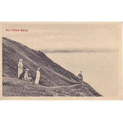 Paa Toftum Bjerge - S.K. 40262