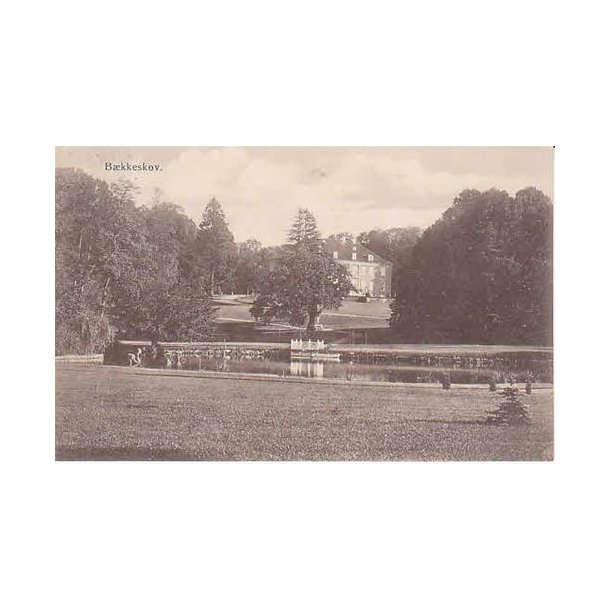 B&aelig;kkeskov - P.N.T. 536