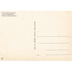 Parti fra Karreb&aelig;ksminde - St.210723