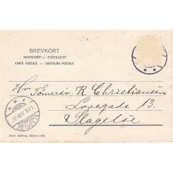 N&aelig;stved - Amtmandsboligen - P.Alstrup 1105