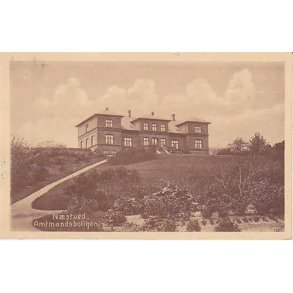 Næstved - Amtmandsboligen - P.Alstrup 1105