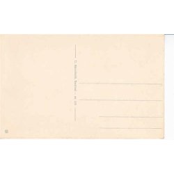 N&aelig;stved - Vandrehjemmet -U.B. 336