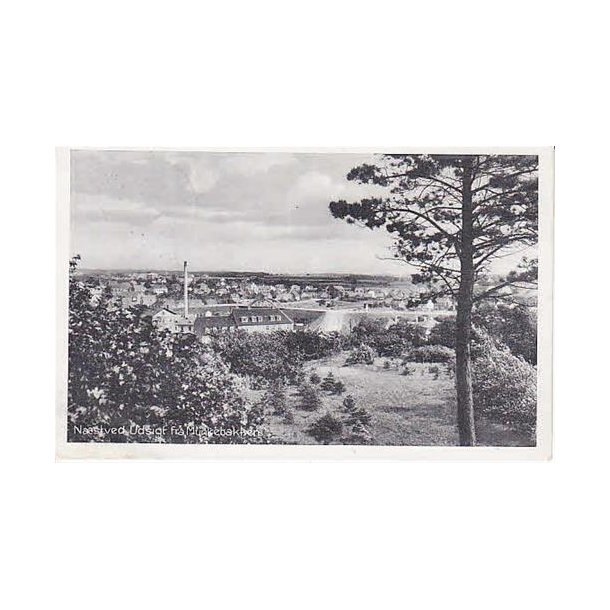 N&aelig;stved - Udsigt fra Munkebakken - St.190