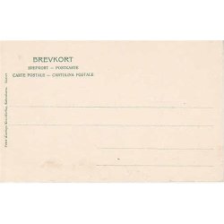 N&aelig;stved - Mindestenen for Faldne Soldater. P.A.