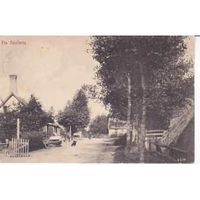 Fra Spjellerup -E.L.2826