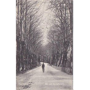 Nstved - Alle ved Herlufsholm -E.L. 1828