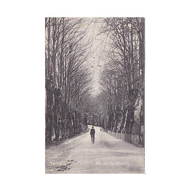 Nstved - Alle ved Herlufsholm -E.L. 1828