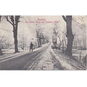 Herlufsholm, Alleen med jerbroen, Vinter