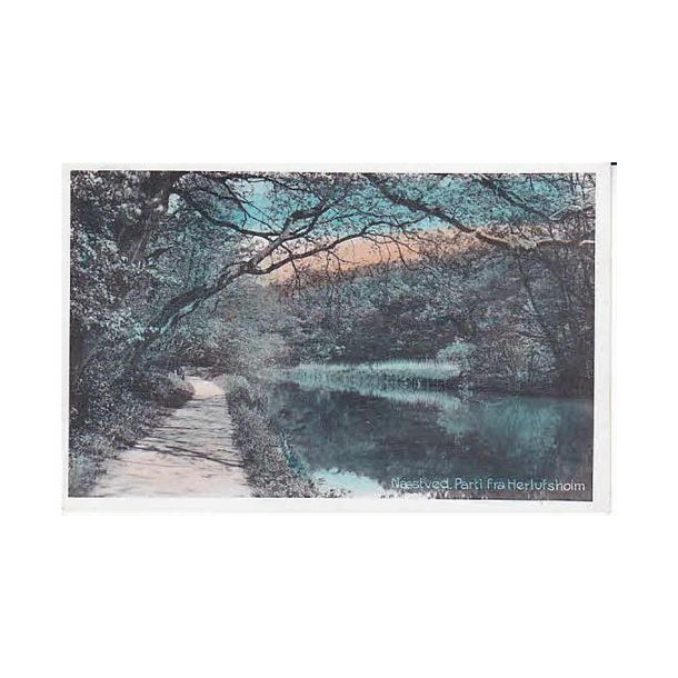 Nstved- Parti fra Herlufsholm. St. 161