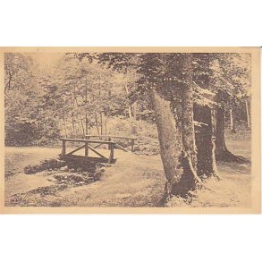 Herlufsholm - Raadmandshaven - St.16542