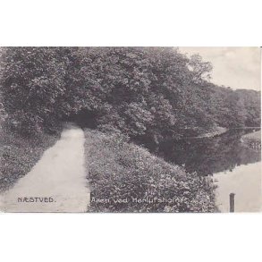 Nstved - Aaen ved Herlufsholm. St.13301