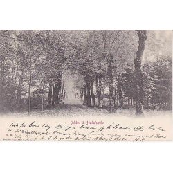 Alleen ved Herlufsholm -WKF u/n