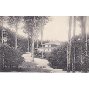 Pavillonen i Ph�nix Anl�g -Odder -Hj.O. 5053