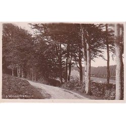 Vejlskoven -Odder - V.M. u/n